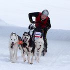 Husky-Endspurt