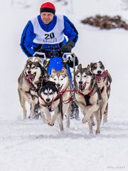 Husky Express - Sport018