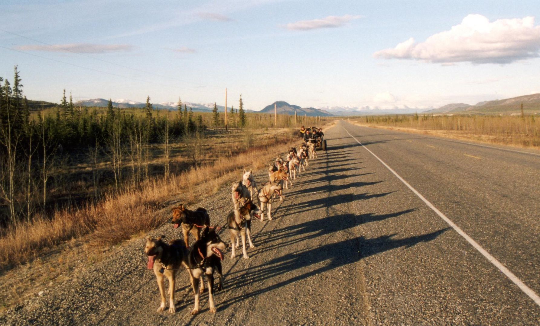 Husky-Highway