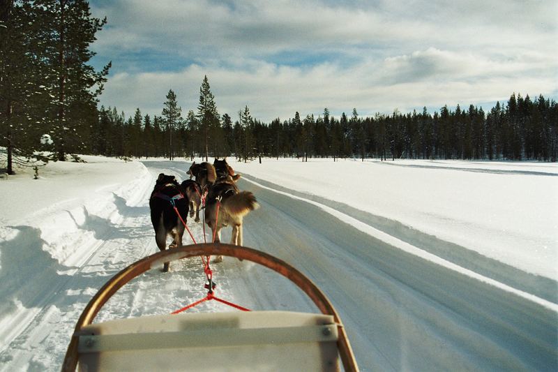 Huskytour in finnisch Lappland (Äkäslompolo)