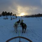 Huskytour in Norwegen...