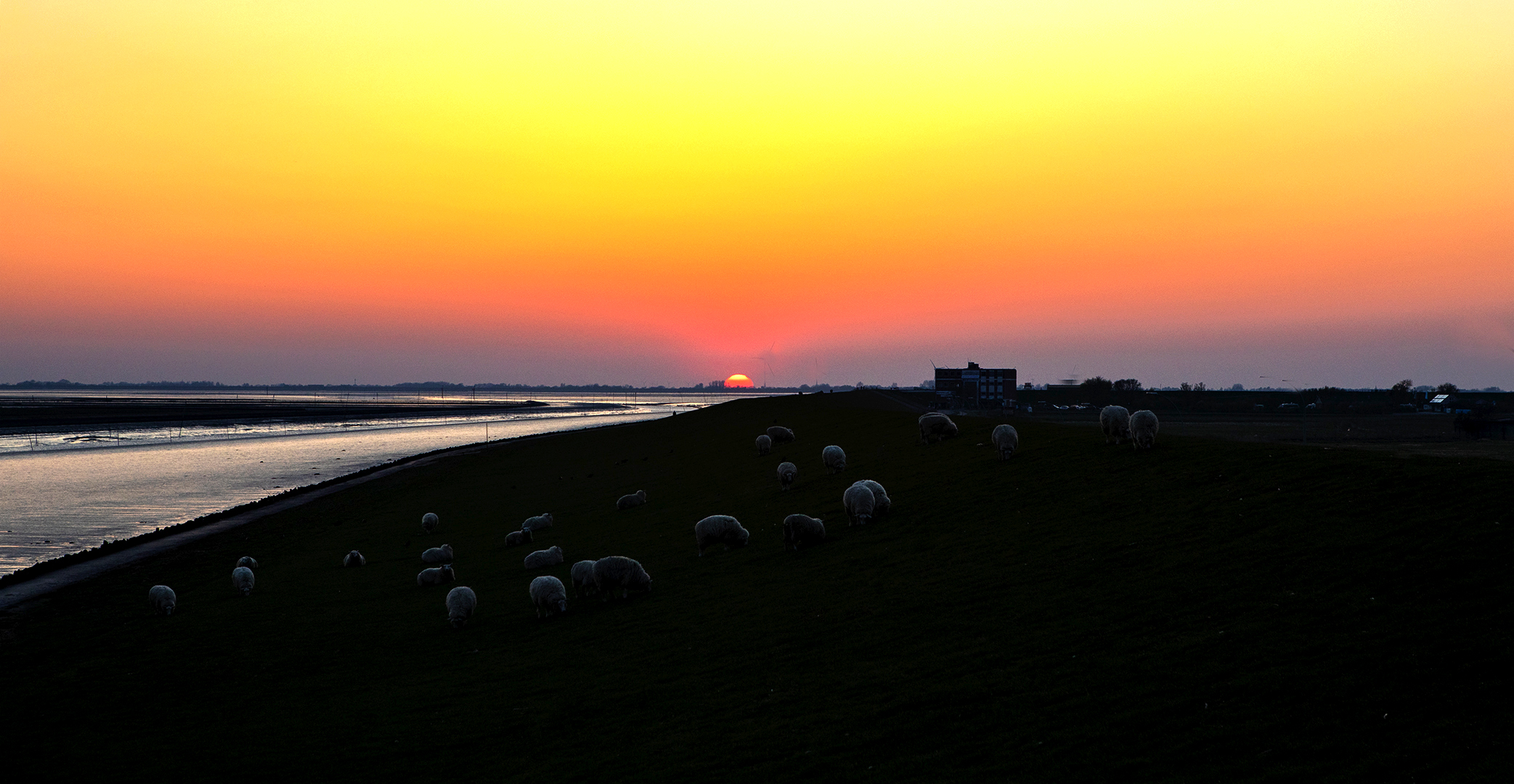 Husum Abendrot 003a 