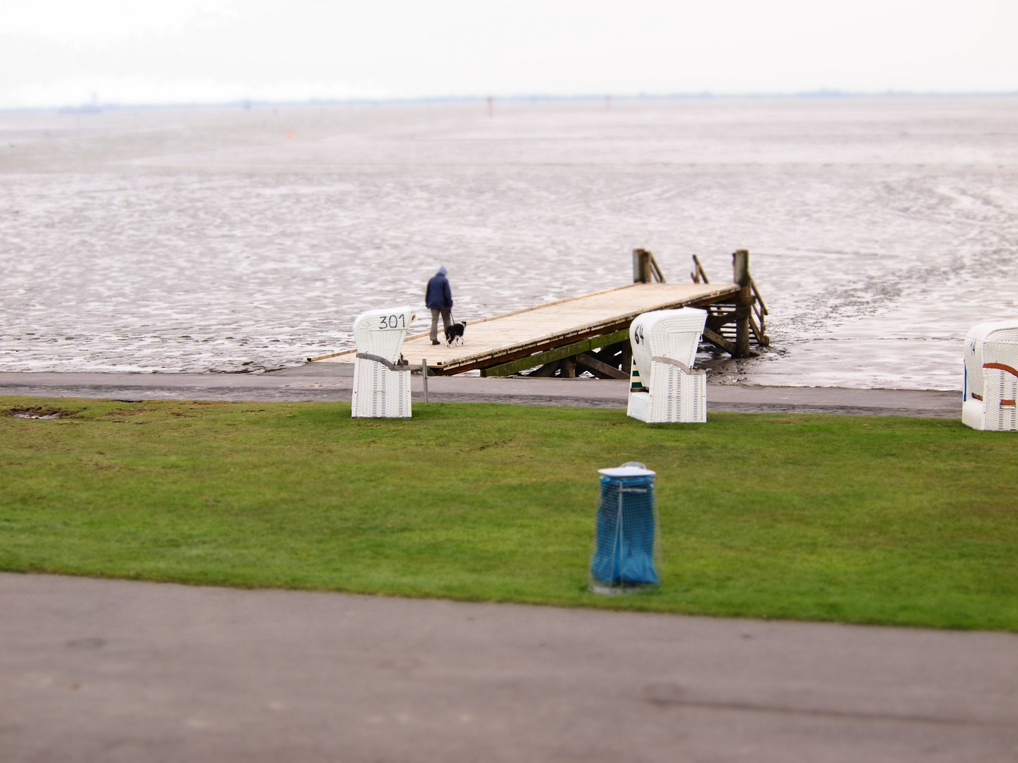 Husum Dockkoog