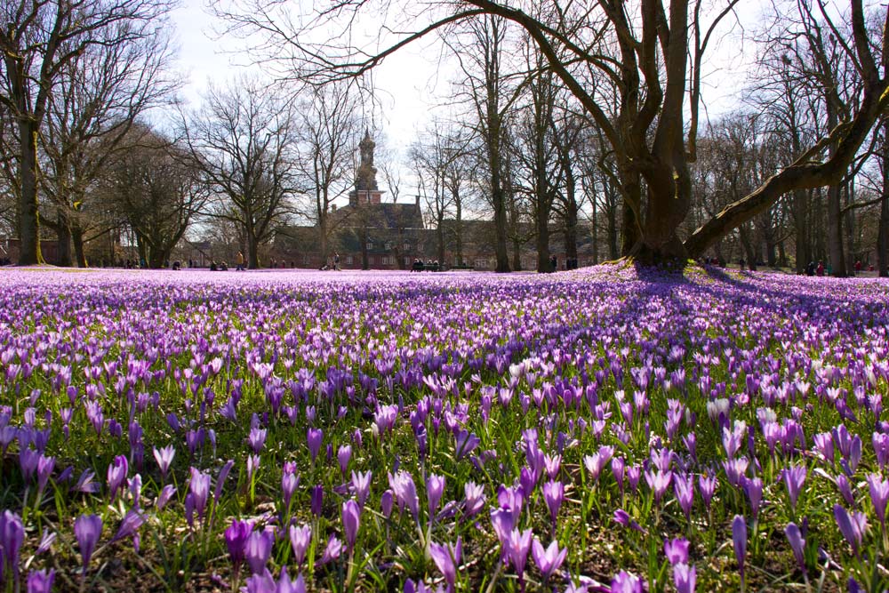 Husum im Schloßpark