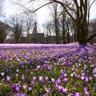 Husum im Schloßpark