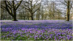 Husum Schlosspark