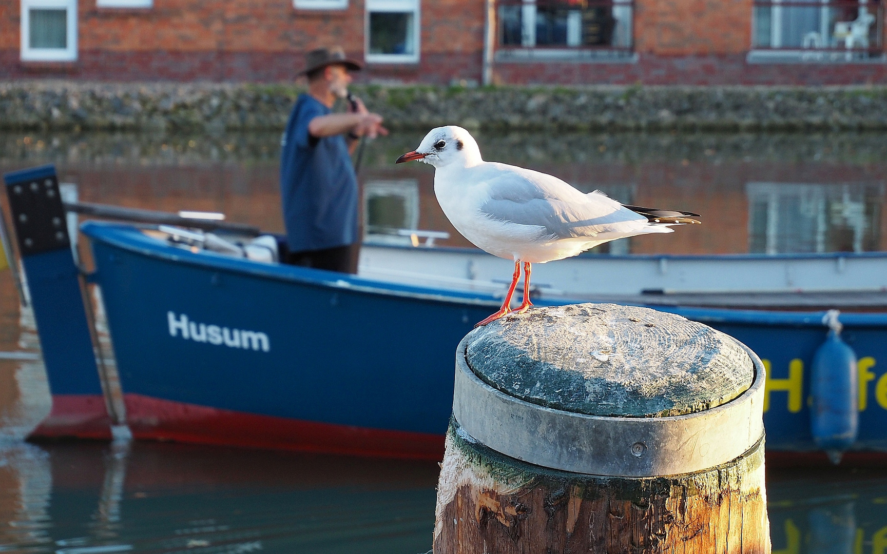 Husumer Hafen