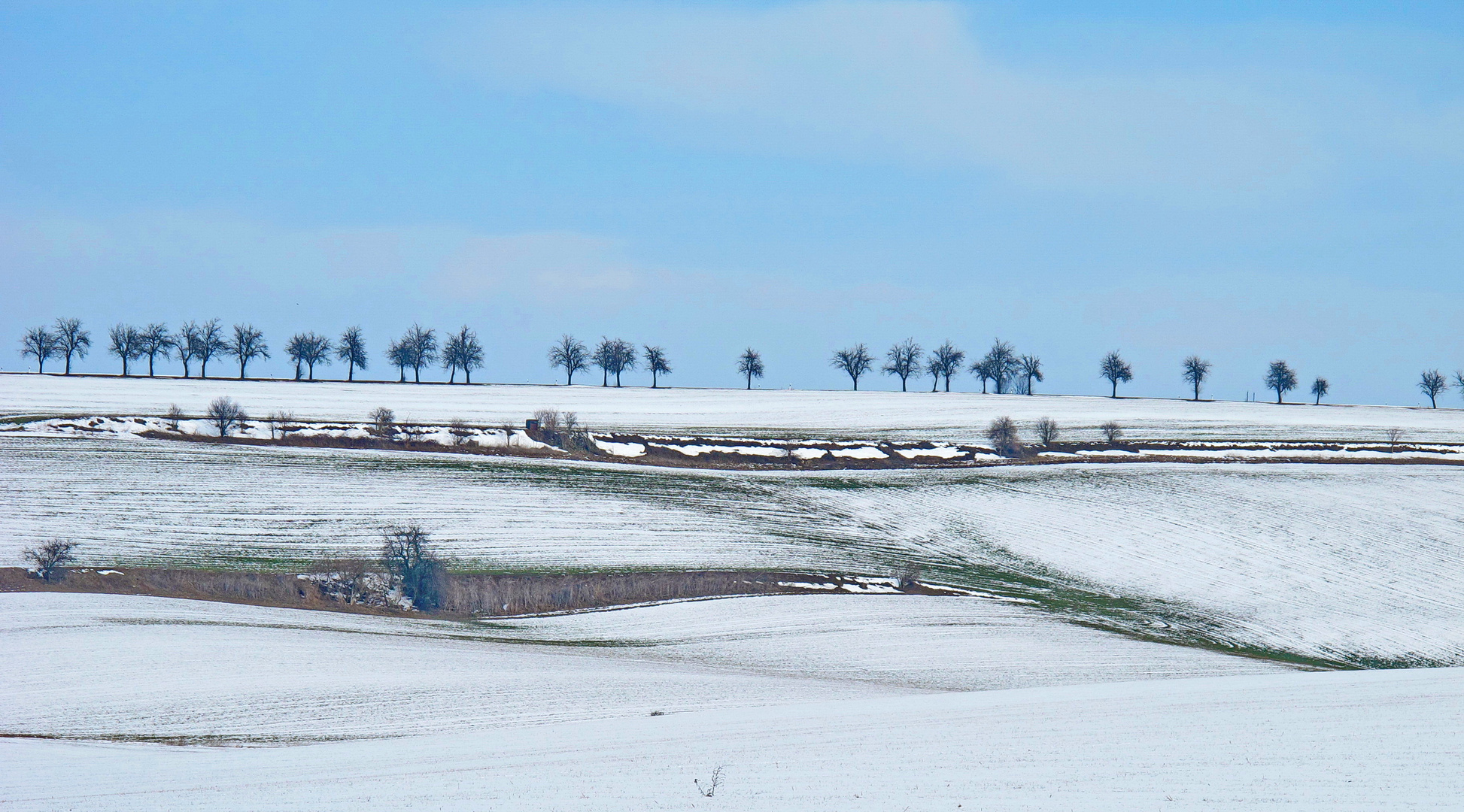 Hutberg bei Eisleben