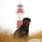 Hutsch auf Sylt,