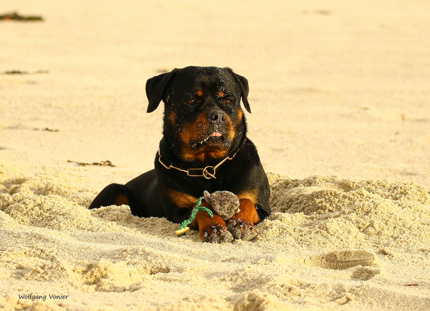 Hutsch im "grossen Sandkasten" auf Sylt