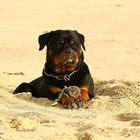 Hutsch im "grossen Sandkasten" auf Sylt