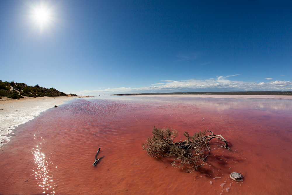 Hutt Lagoon