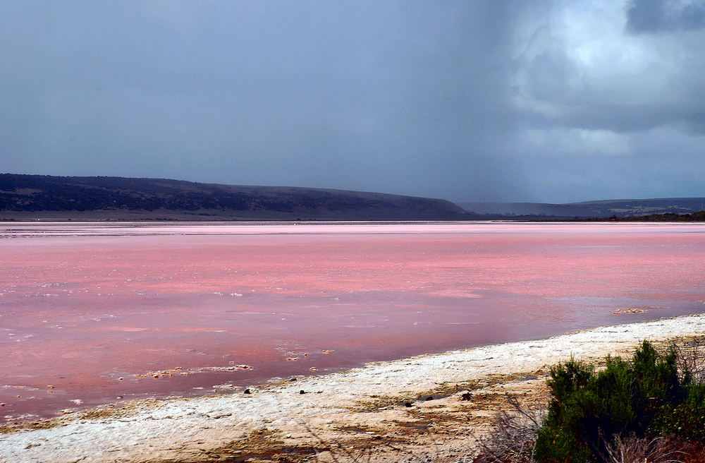 Hutt Lagoon