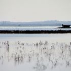 hutte en baie d' authie