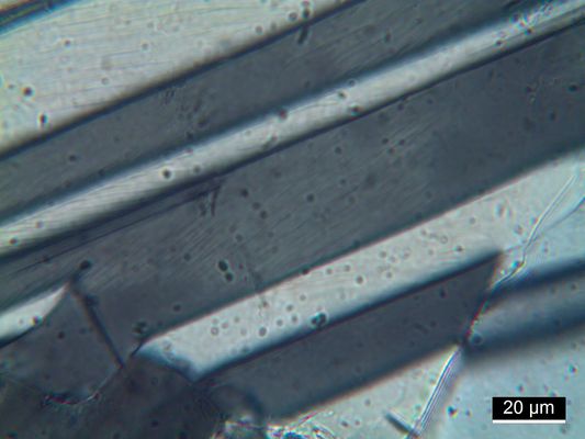 Huttenlocher-Entmischung in Plagioklas aus Sri Lanka