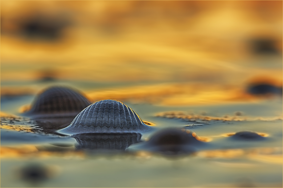 "Hutzauber" am goldenen Strand