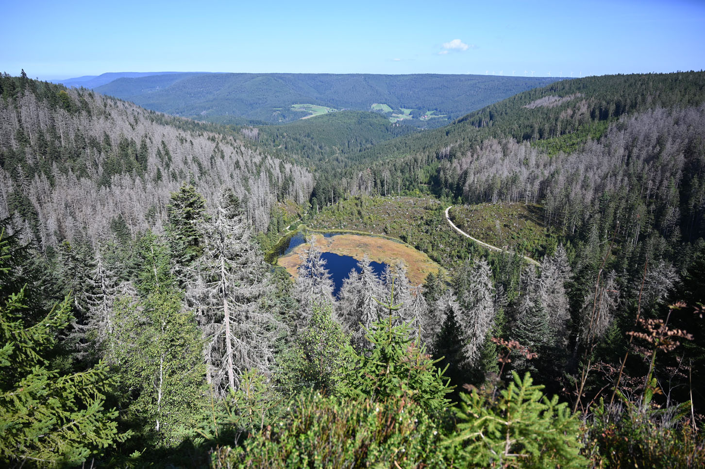 Hutzenbacher See