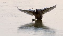 "Huuuch ... ist's da glaaaaatttt"