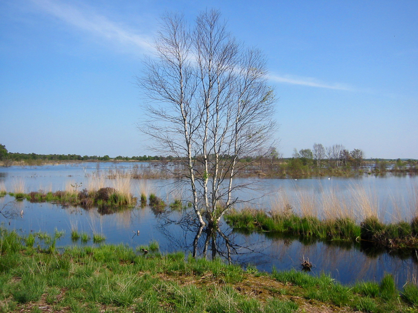 Huvenhoops Moor