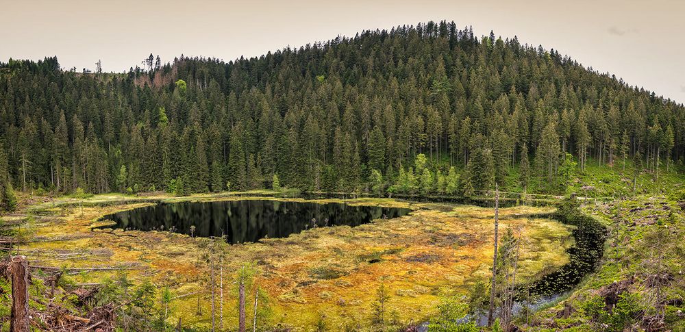 Huzenbacher See