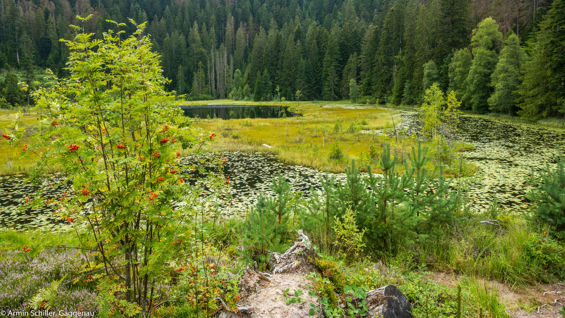 Huzenbacher See