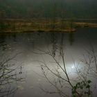 Huzenbacher See im Nordschwarzwald