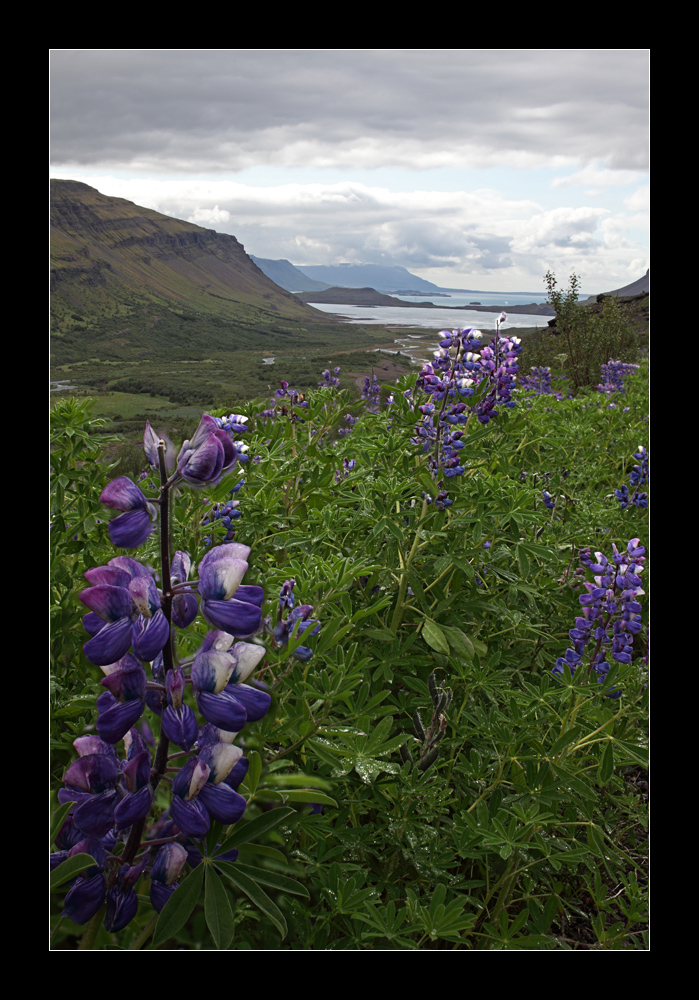 Hvaljörður