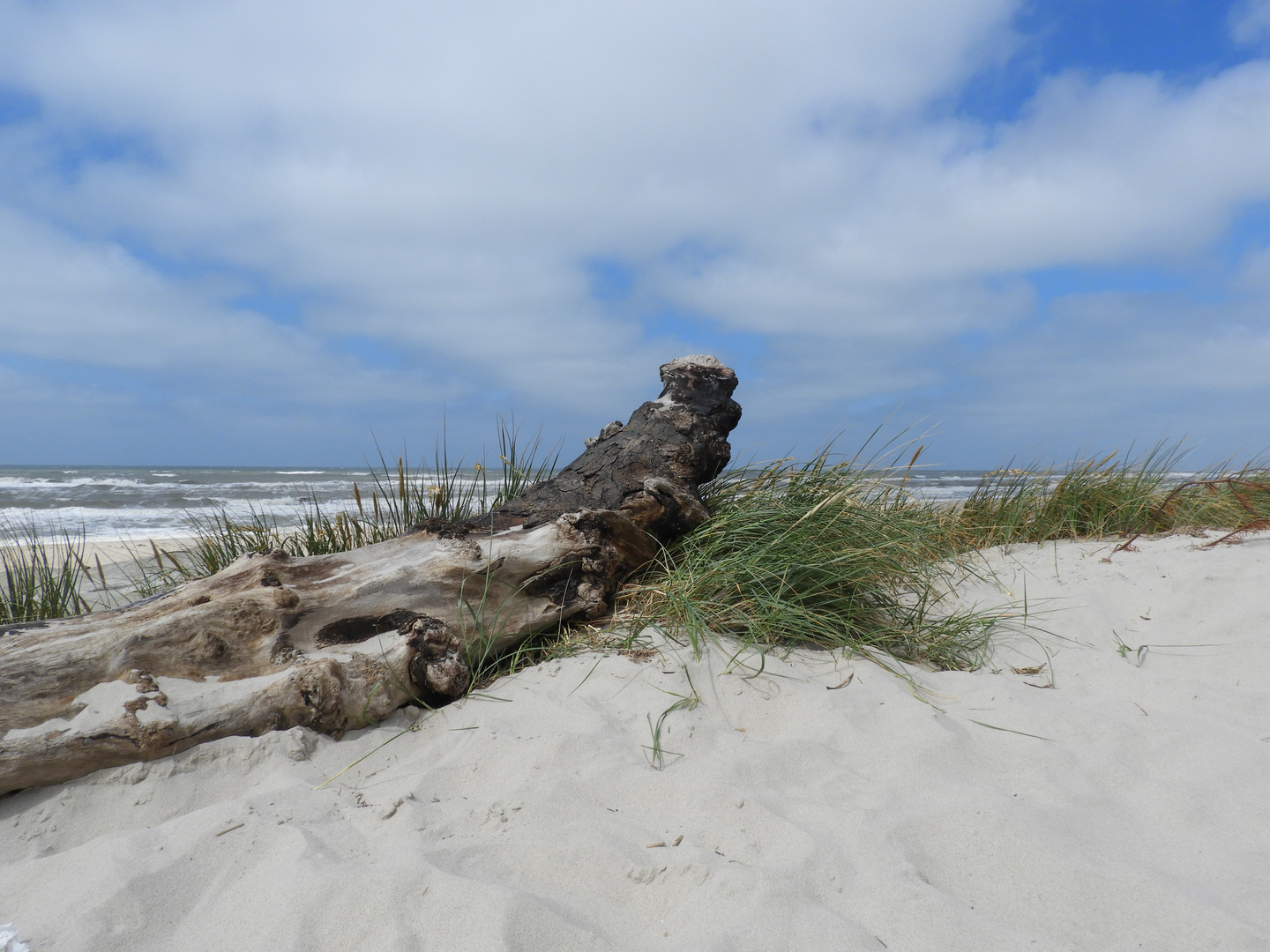 Hvide Sande, Dänemark