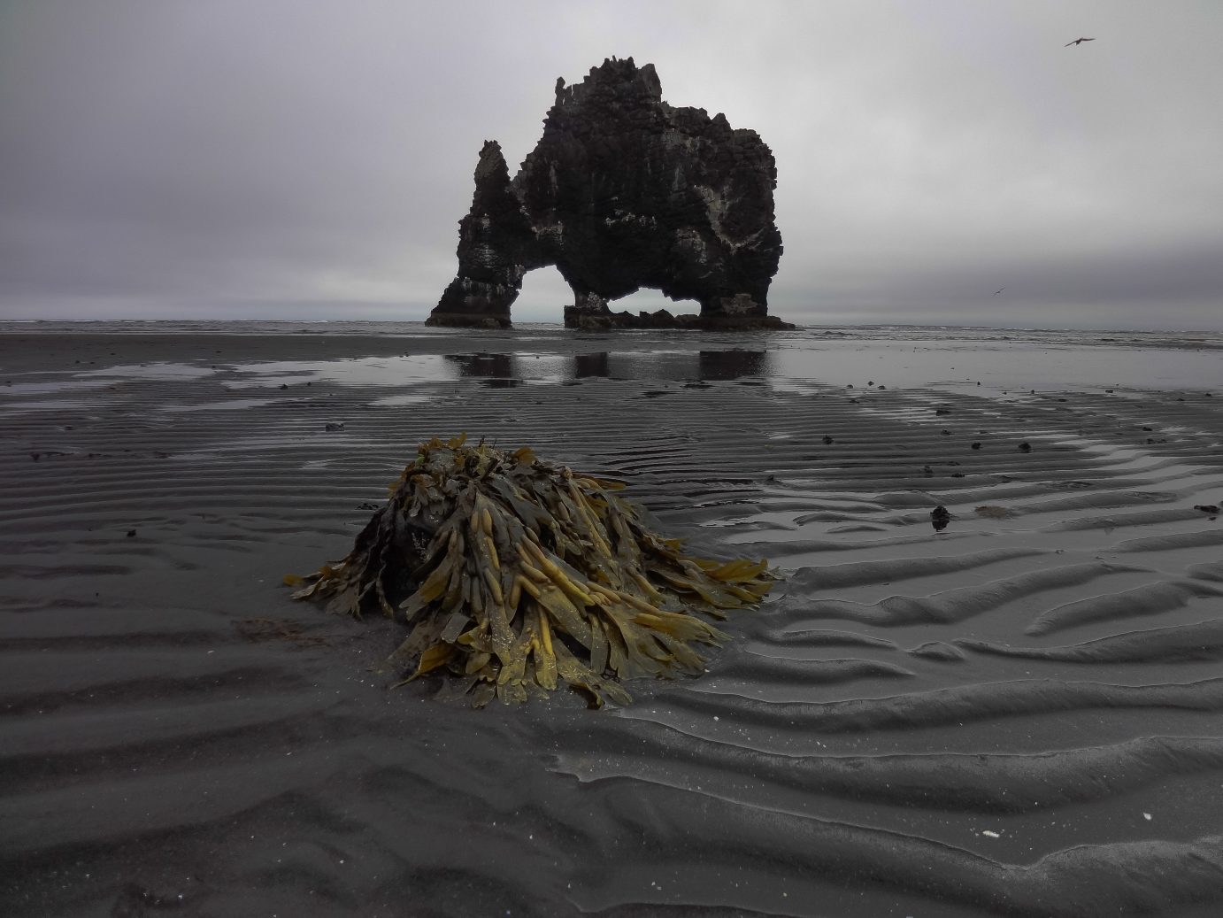 Hvítserkur