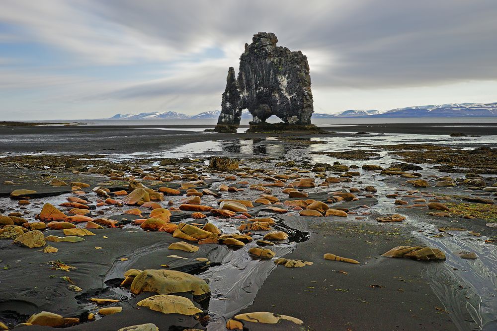 Hvitserkur