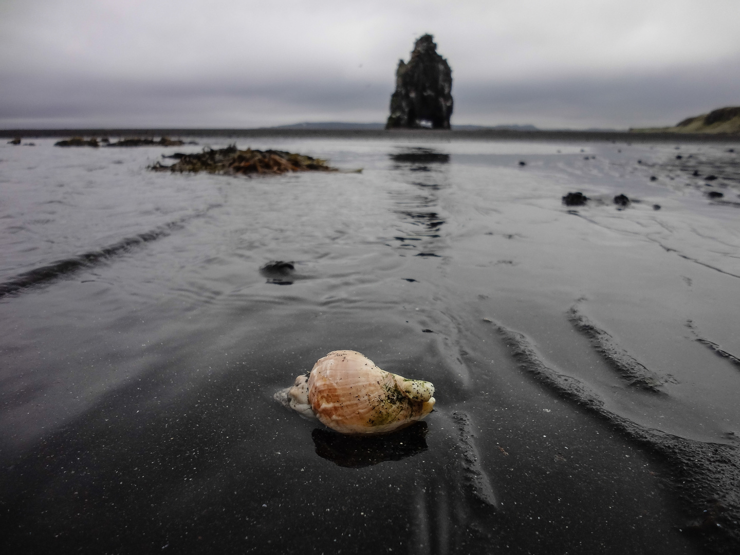 Hvítserkur