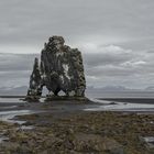 Hvítserkur Rock