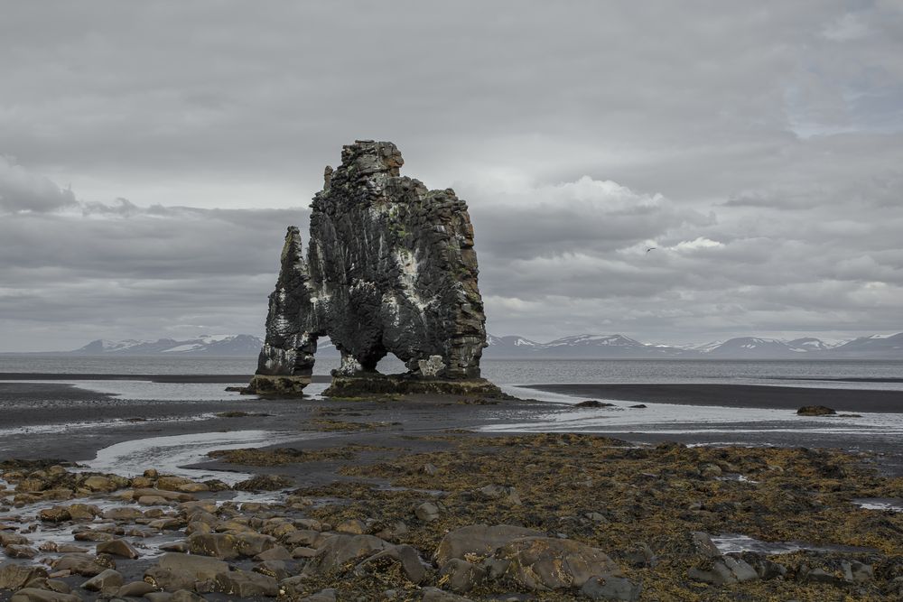 Hvítserkur Rock