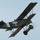 HW 2013 Fokker D VII