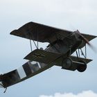 HW 2013 Fokker D VII