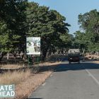 Hwange National Park