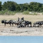 Hwange National Park - Wasserloch