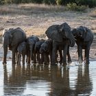 Hwange National Park - Wie es die anderen sehen ...