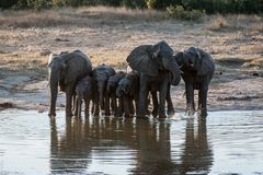 Hwange National Park - Wie es die anderen sehen ...