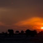 Hwange Sonnenuntergang