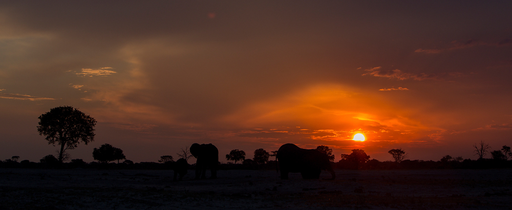 Hwange Sonnenuntergang