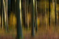 HWW by ICM