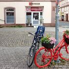 HX HAAR FRISEUR in Höxter