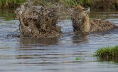 Hyänen Wassersport
