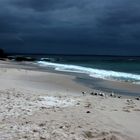 Hyams Beach