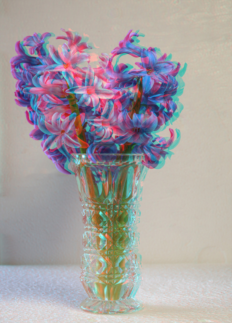 Hyazinthenstrauß anaglyph