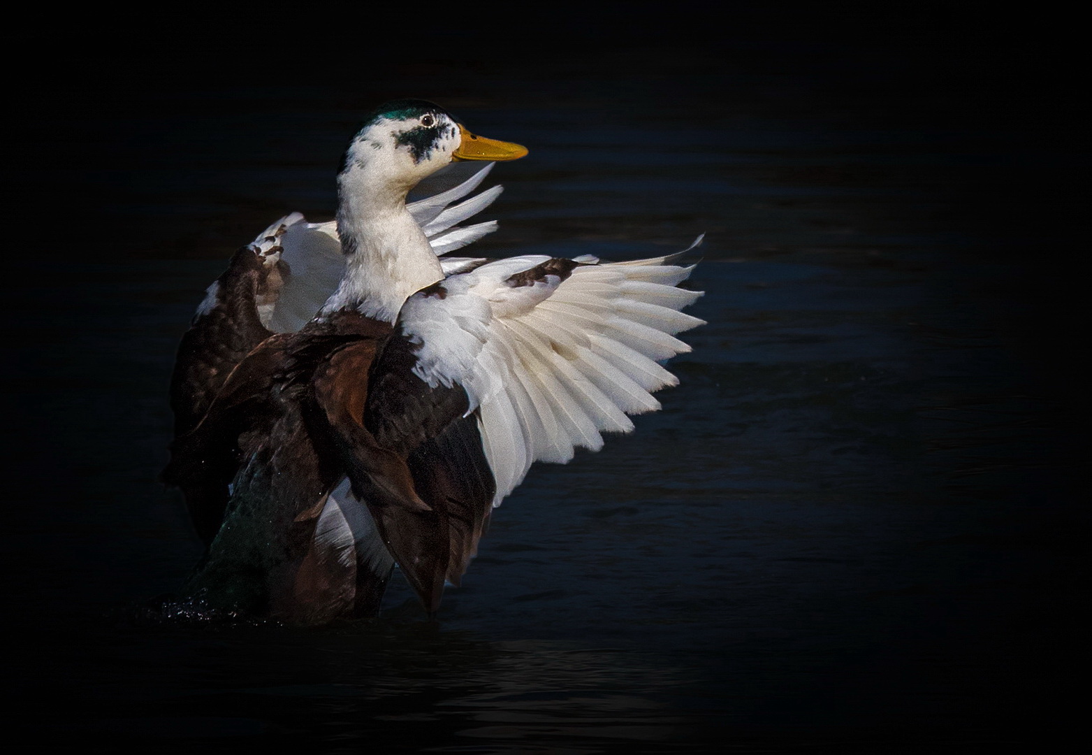 Hybrid-Ente