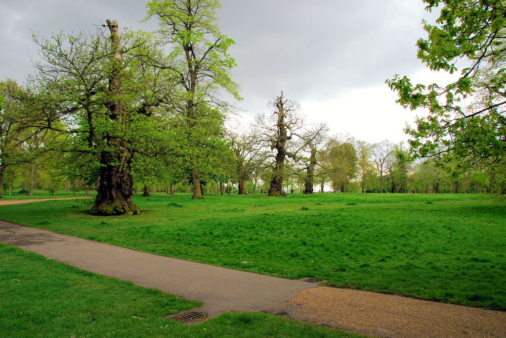 Hyde Park