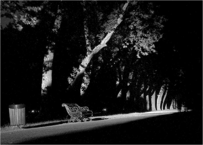 Hyde Park at midnight by S. Reuter