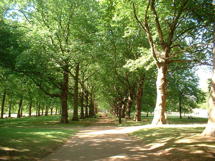 Hyde Park